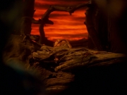 Filename=extant_StarTrek_VOY_5x05-OnceUponATime_03294.jpg
Filesize=157KiB
Dimensions=1200x900
Date added=Nov 12, 2019 extant_StarTrek_VOY_5x05-OnceUponATime_03294.jpg