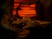 Filename=extant_StarTrek_VOY_5x05-OnceUponATime_03295.jpg
Filesize=155KiB
Dimensions=1200x900
Date added=Nov 12, 2019 extant_StarTrek_VOY_5x05-OnceUponATime_03295.jpg