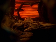 extant_StarTrek_VOY_5x05-OnceUponATime_03296.jpg
