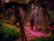 Filename=extant_StarTrek_VOY_5x05-OnceUponATime_03694.jpg
Filesize=267KiB
Dimensions=1200x900
Date added=Nov 12, 2019 extant_StarTrek_VOY_5x05-OnceUponATime_03694.jpg