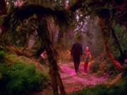 Filename=extant_StarTrek_VOY_5x05-OnceUponATime_03695.jpg
Filesize=264KiB
Dimensions=1200x900
Date added=Nov 12, 2019 extant_StarTrek_VOY_5x05-OnceUponATime_03695.jpg