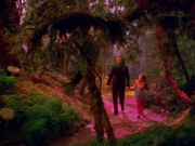 Filename=extant_StarTrek_VOY_5x05-OnceUponATime_03697.jpg
Filesize=259KiB
Dimensions=1200x900
Date added=Nov 12, 2019 extant_StarTrek_VOY_5x05-OnceUponATime_03697.jpg