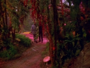 Filename=extant_StarTrek_VOY_5x05-OnceUponATime_03798.jpg
Filesize=263KiB
Dimensions=1200x900
Date added=Nov 12, 2019 extant_StarTrek_VOY_5x05-OnceUponATime_03798.jpg