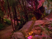 Filename=extant_StarTrek_VOY_5x05-OnceUponATime_03803.jpg
Filesize=277KiB
Dimensions=1200x900
Date added=Nov 12, 2019 extant_StarTrek_VOY_5x05-OnceUponATime_03803.jpg