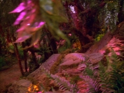 Filename=extant_StarTrek_VOY_5x05-OnceUponATime_03805.jpg
Filesize=282KiB
Dimensions=1200x900
Date added=Nov 12, 2019 extant_StarTrek_VOY_5x05-OnceUponATime_03805.jpg