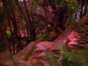 Filename=extant_StarTrek_VOY_5x05-OnceUponATime_03806.jpg
Filesize=281KiB
Dimensions=1200x900
Date added=Nov 12, 2019 extant_StarTrek_VOY_5x05-OnceUponATime_03806.jpg