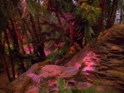 Filename=extant_StarTrek_VOY_5x05-OnceUponATime_03807.jpg
Filesize=282KiB
Dimensions=1200x900
Date added=Nov 12, 2019 extant_StarTrek_VOY_5x05-OnceUponATime_03807.jpg