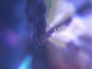 Filename=extant_StarTrek_VOY_5x07-InfiniteRegress_03371.jpg
Filesize=186KiB
Dimensions=1200x900
Date added=Nov 12, 2019 extant_StarTrek_VOY_5x07-InfiniteRegress_03371.jpg