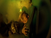 Filename=extant_StarTrek_VOY_5x07-InfiniteRegress_03587.jpg
Filesize=149KiB
Dimensions=1200x900
Date added=Nov 12, 2019 extant_StarTrek_VOY_5x07-InfiniteRegress_03587.jpg