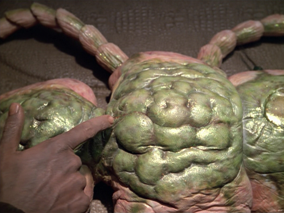 extant_StarTrek_VOY_5x08-NothingHuman_01763.jpg