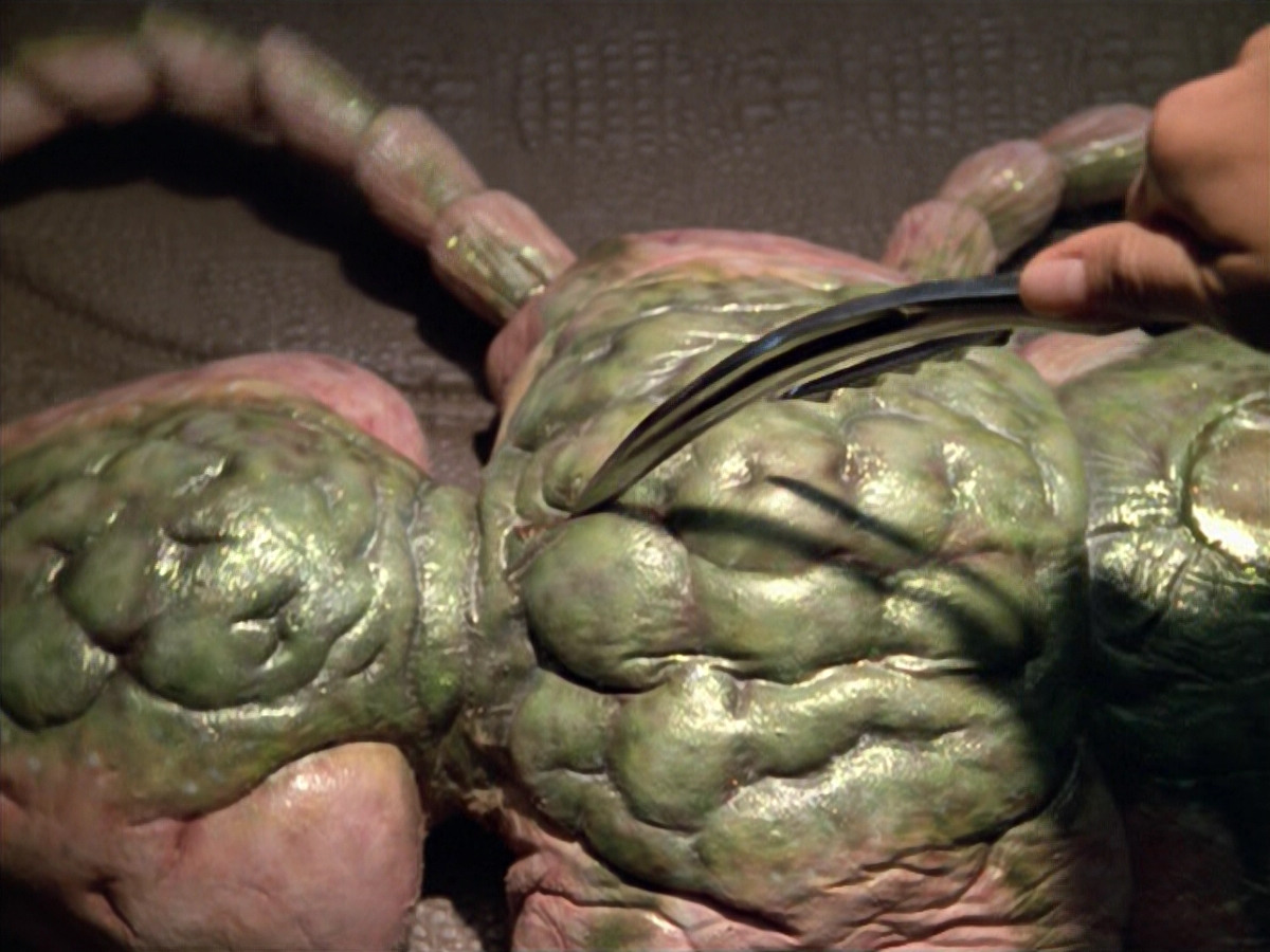 extant_StarTrek_VOY_5x08-NothingHuman_01765.jpg