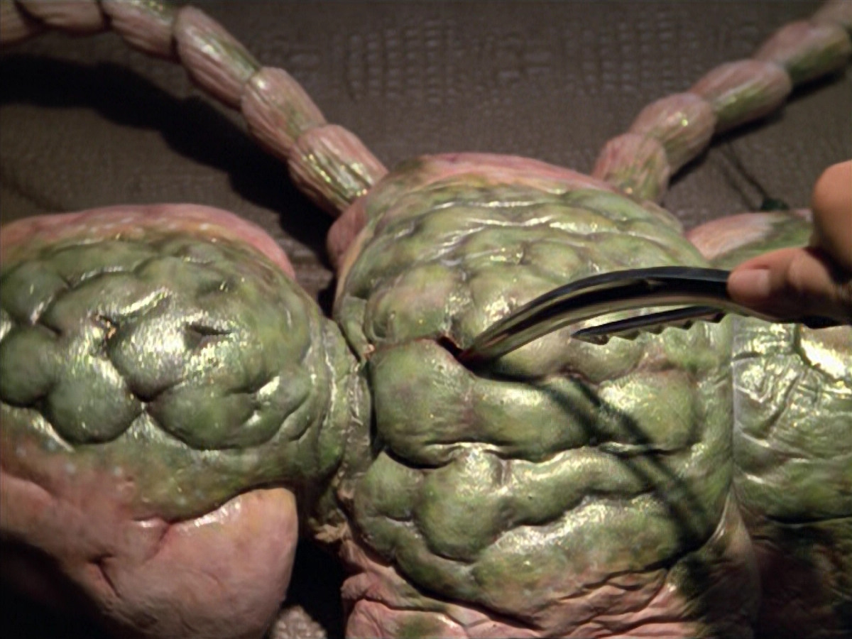 extant_StarTrek_VOY_5x08-NothingHuman_01767.jpg