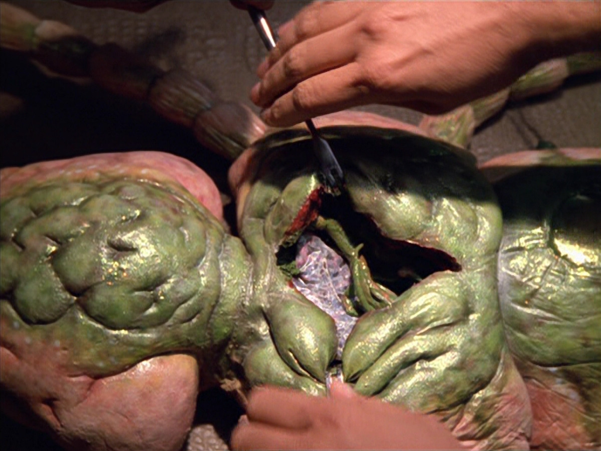 extant_StarTrek_VOY_5x08-NothingHuman_01799.jpg