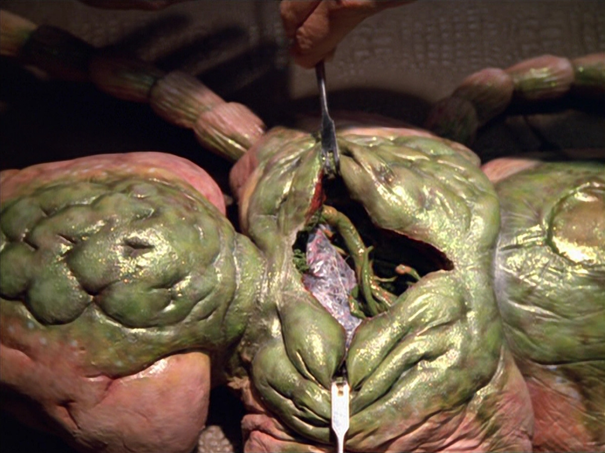 extant_StarTrek_VOY_5x08-NothingHuman_01801.jpg