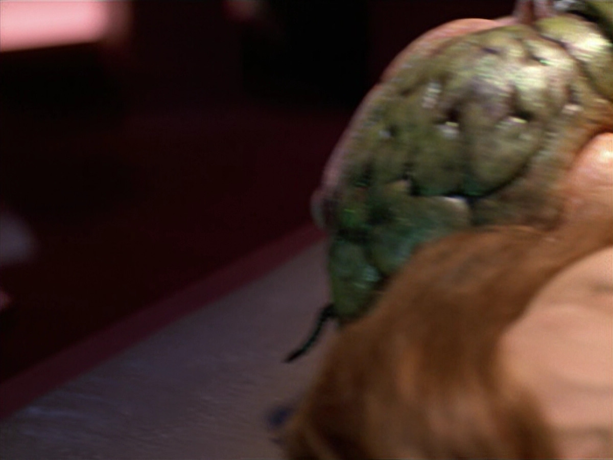 extant_StarTrek_VOY_5x08-NothingHuman_02949.jpg