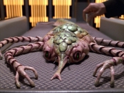 Filename=extant_StarTrek_VOY_5x08-NothingHuman_00549.jpg
Filesize=252KiB
Dimensions=1200x900
Date added=Nov 12, 2019 extant_StarTrek_VOY_5x08-NothingHuman_00549.jpg