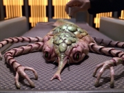Filename=extant_StarTrek_VOY_5x08-NothingHuman_00550.jpg
Filesize=256KiB
Dimensions=1200x900
Date added=Nov 12, 2019 extant_StarTrek_VOY_5x08-NothingHuman_00550.jpg
