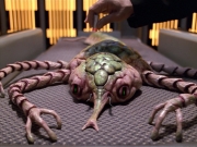 Filename=extant_StarTrek_VOY_5x08-NothingHuman_00551.jpg
Filesize=257KiB
Dimensions=1200x900
Date added=Nov 12, 2019 extant_StarTrek_VOY_5x08-NothingHuman_00551.jpg