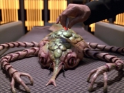 Filename=extant_StarTrek_VOY_5x08-NothingHuman_00552.jpg
Filesize=247KiB
Dimensions=1200x900
Date added=Nov 12, 2019 extant_StarTrek_VOY_5x08-NothingHuman_00552.jpg
