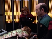 Filename=extant_StarTrek_VOY_5x08-NothingHuman_00648.jpg
Filesize=249KiB
Dimensions=1200x900
Date added=Nov 12, 2019 extant_StarTrek_VOY_5x08-NothingHuman_00648.jpg