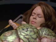 Filename=extant_StarTrek_VOY_5x08-NothingHuman_01339.jpg
Filesize=194KiB
Dimensions=1200x900
Date added=Nov 12, 2019 extant_StarTrek_VOY_5x08-NothingHuman_01339.jpg