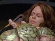 Filename=extant_StarTrek_VOY_5x08-NothingHuman_01340.jpg
Filesize=194KiB
Dimensions=1200x900
Date added=Nov 12, 2019 extant_StarTrek_VOY_5x08-NothingHuman_01340.jpg