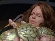 Filename=extant_StarTrek_VOY_5x08-NothingHuman_01341.jpg
Filesize=197KiB
Dimensions=1200x900
Date added=Nov 12, 2019 extant_StarTrek_VOY_5x08-NothingHuman_01341.jpg