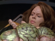 Filename=extant_StarTrek_VOY_5x08-NothingHuman_01344.jpg
Filesize=190KiB
Dimensions=1200x900
Date added=Nov 12, 2019 extant_StarTrek_VOY_5x08-NothingHuman_01344.jpg
