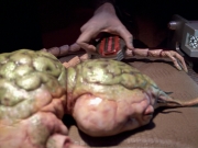 Filename=extant_StarTrek_VOY_5x08-NothingHuman_01676.jpg
Filesize=186KiB
Dimensions=1200x900
Date added=Nov 12, 2019 extant_StarTrek_VOY_5x08-NothingHuman_01676.jpg