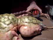 Filename=extant_StarTrek_VOY_5x08-NothingHuman_01677.jpg
Filesize=194KiB
Dimensions=1200x900
Date added=Nov 12, 2019 extant_StarTrek_VOY_5x08-NothingHuman_01677.jpg