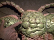 Filename=extant_StarTrek_VOY_5x08-NothingHuman_01763.jpg
Filesize=227KiB
Dimensions=1200x900
Date added=Nov 12, 2019 extant_StarTrek_VOY_5x08-NothingHuman_01763.jpg