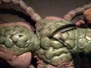 Filename=extant_StarTrek_VOY_5x08-NothingHuman_01766.jpg
Filesize=235KiB
Dimensions=1200x900
Date added=Nov 12, 2019 extant_StarTrek_VOY_5x08-NothingHuman_01766.jpg