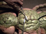 Filename=extant_StarTrek_VOY_5x08-NothingHuman_01790.jpg
Filesize=254KiB
Dimensions=1200x900
Date added=Nov 12, 2019 extant_StarTrek_VOY_5x08-NothingHuman_01790.jpg