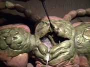extant_StarTrek_VOY_5x08-NothingHuman_01793.jpg