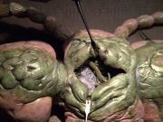extant_StarTrek_VOY_5x08-NothingHuman_01794.jpg