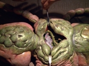 extant_StarTrek_VOY_5x08-NothingHuman_01801.jpg