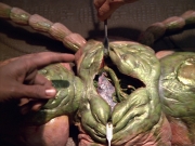 extant_StarTrek_VOY_5x08-NothingHuman_01802.jpg