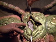 Filename=extant_StarTrek_VOY_5x08-NothingHuman_01803.jpg
Filesize=250KiB
Dimensions=1200x900
Date added=Nov 12, 2019 extant_StarTrek_VOY_5x08-NothingHuman_01803.jpg