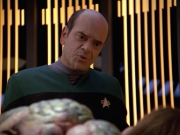 Filename=extant_StarTrek_VOY_5x08-NothingHuman_01956.jpg
Filesize=210KiB
Dimensions=1200x900
Date added=Nov 12, 2019 extant_StarTrek_VOY_5x08-NothingHuman_01956.jpg