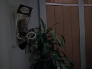 Filename=extant_StarTrek_VOY_5x08-NothingHuman_02797.jpg
Filesize=144KiB
Dimensions=1200x900
Date added=Nov 12, 2019 extant_StarTrek_VOY_5x08-NothingHuman_02797.jpg