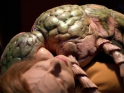 Filename=extant_StarTrek_VOY_5x08-NothingHuman_02953.jpg
Filesize=211KiB
Dimensions=1200x900
Date added=Nov 12, 2019 extant_StarTrek_VOY_5x08-NothingHuman_02953.jpg