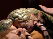 Filename=extant_StarTrek_VOY_5x08-NothingHuman_02954.jpg
Filesize=199KiB
Dimensions=1200x900
Date added=Nov 12, 2019 extant_StarTrek_VOY_5x08-NothingHuman_02954.jpg