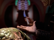 Filename=extant_StarTrek_VOY_5x08-NothingHuman_02957.jpg
Filesize=164KiB
Dimensions=1200x900
Date added=Nov 12, 2019 extant_StarTrek_VOY_5x08-NothingHuman_02957.jpg