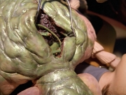 extant_StarTrek_VOY_5x08-NothingHuman_03084.jpg