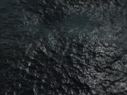 Filename=extant_StarTrek_VOY_5x09-ThirtyDays_00875.jpg
Filesize=211KiB
Dimensions=1200x900
Date added=Nov 12, 2019 extant_StarTrek_VOY_5x09-ThirtyDays_00875.jpg