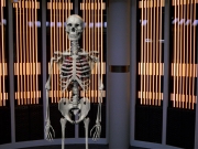 Filename=extant_StarTrek_VOY_5x11-LatentImage_00154.jpg
Filesize=297KiB
Dimensions=1200x900
Date added=Nov 12, 2019 extant_StarTrek_VOY_5x11-LatentImage_00154.jpg