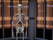 extant_StarTrek_VOY_5x11-LatentImage_00155.jpg