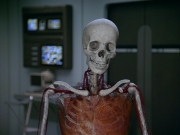 extant_StarTrek_VOY_5x11-LatentImage_01356.jpg