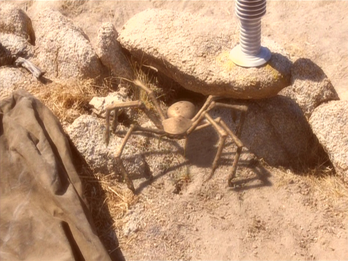 extant_StarTrek_VOY_5x13-Gravity_01284.jpg