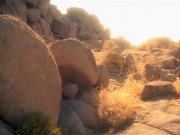 Filename=extant_StarTrek_VOY_5x13-Gravity_00650.jpg
Filesize=210KiB
Dimensions=1200x900
Date added=Nov 12, 2019 extant_StarTrek_VOY_5x13-Gravity_00650.jpg